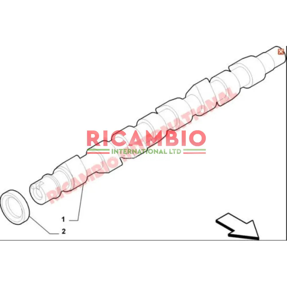 Front Camshaft Oil Seal - Fiat & Alfa Romeo - Gaskets