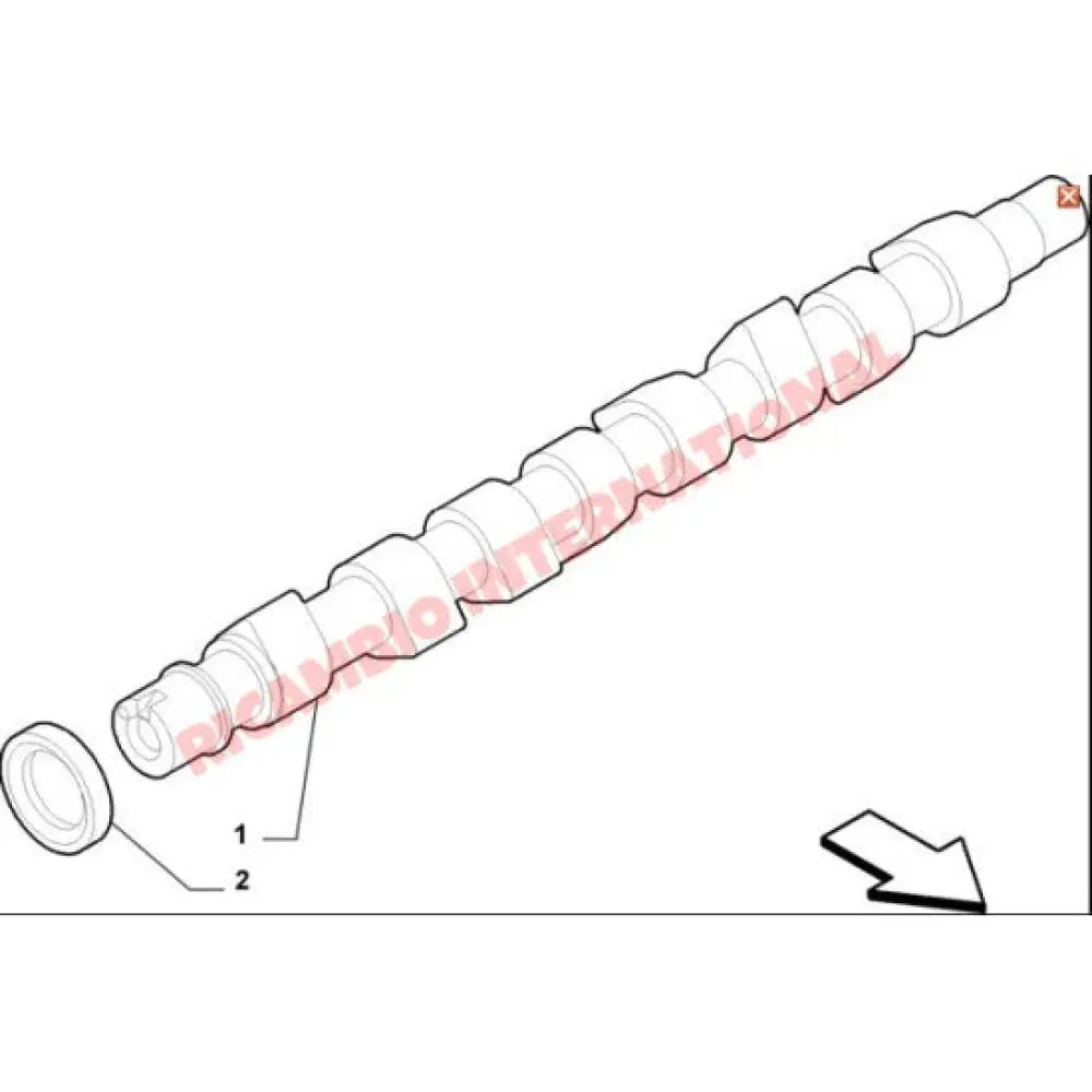 Front Camshaft Oil Seal - Fiat & Alfa Romeo - Gaskets
