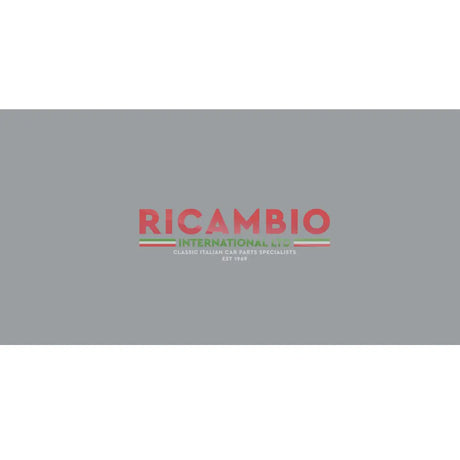 Original Paint Touch Up Stick & Brush (30ml) - Classic Fiat 500 - 602 GRIGIO - Paint