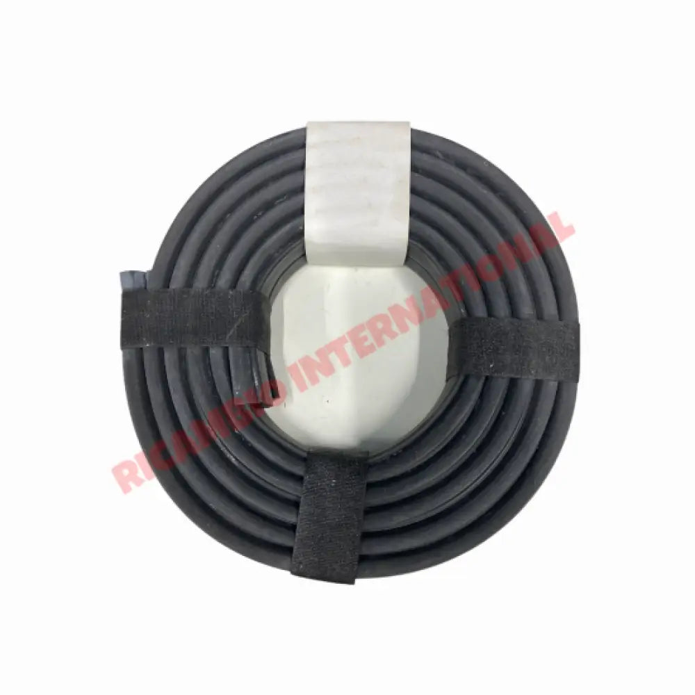 Pair of Door Rubber Seal - Autobianchi Bianchina Cabrio - Window - Seals and Trim