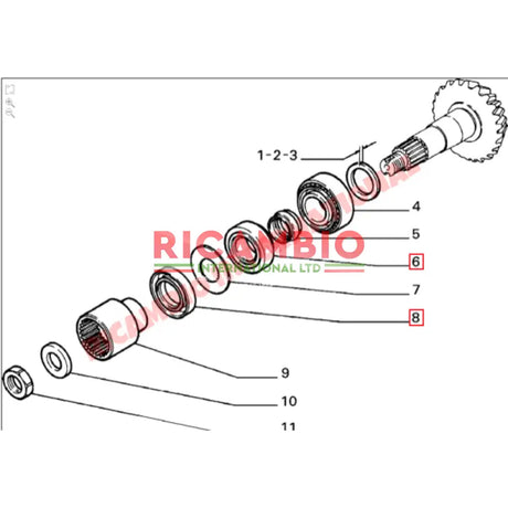 Rear Differential Front Pinion Seal - Lancia Delta Integrale - Clutch and Transmission Parts