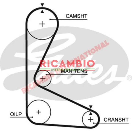 Timing Belt - Fiat 127 Sports Lancia Y10 Autobianchi A112 - Mechanical and Engine Parts