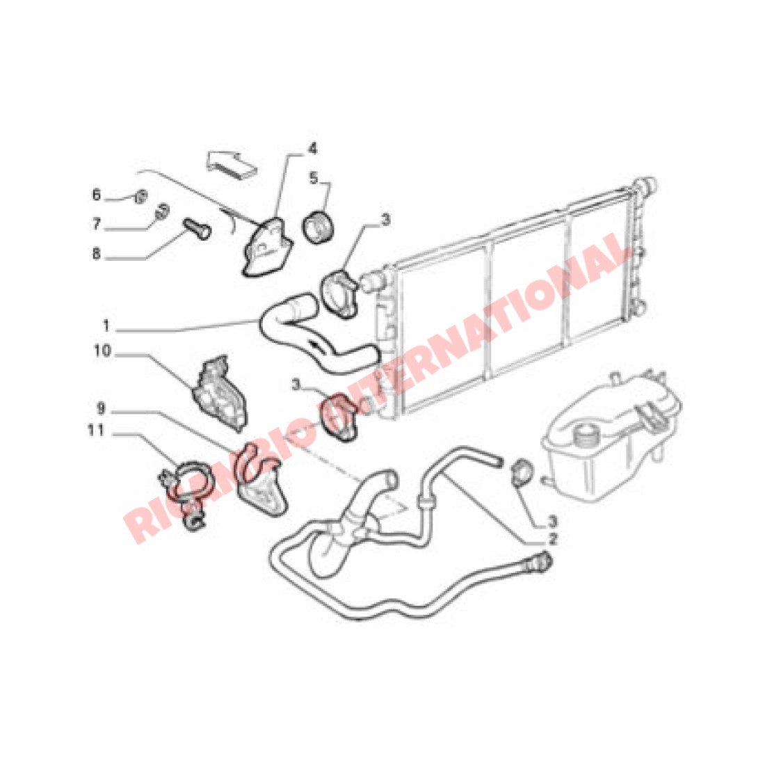 Bottom Radiator Hose - Fiat Cinquecento - Heating & Cooling