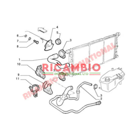 Bottom Radiator Hose - Fiat Cinquecento - Heating & Cooling