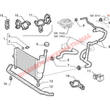 Bottom Radiator Hose - Fiat Punto MK1 - Heating and Cooling