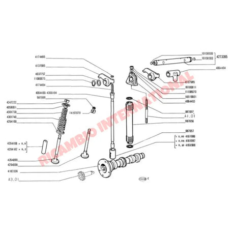 Complete Kit of Valve Springs - Classic Fiat 500 126 - Mechanical & Engine Parts
