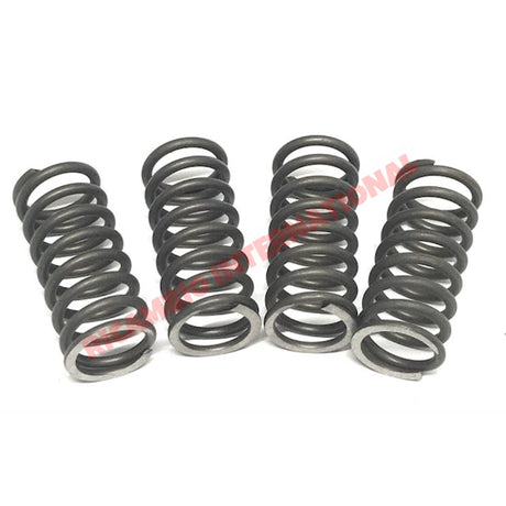 Complete Kit of Valve Springs - Classic Fiat 500 - Classic Fiat 500 Parts & Spares