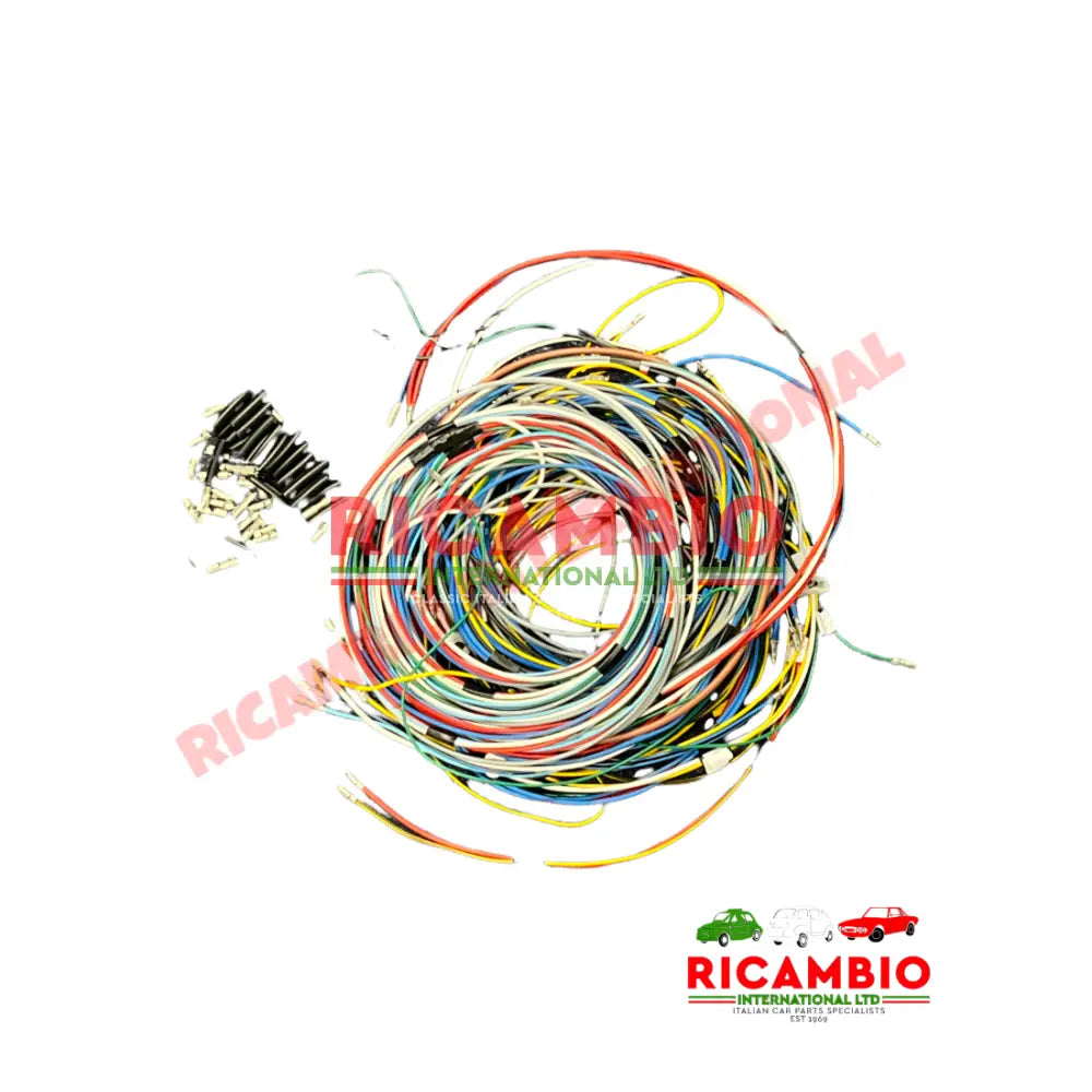 Complete Wiring Loom - Autobianchi Bianchina Panoramica - Ignition and Electrical Items