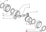Differential Thrust Ring - Classic Fiat Panda,Uno,Cinquecento,Seicento Lancia Y10 - Gearbox and Parts
