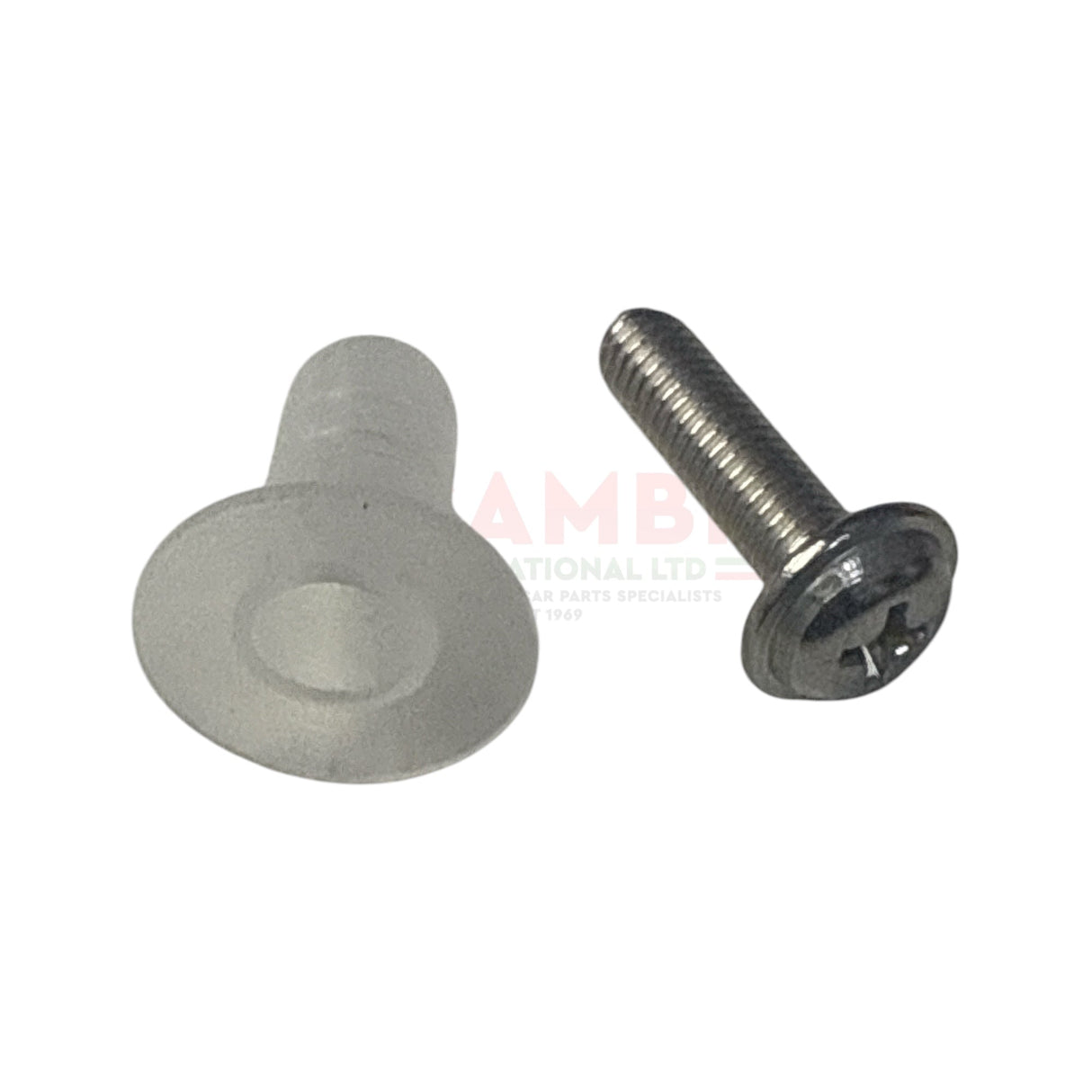 Door Quarter Light Plastic Screw Insert & Screw - Classic Fiat 500 - Glass & Associated Parts