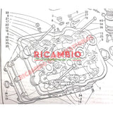 Engine Rubber Cap - Lancia Fulvia - Lancia Fulvia
