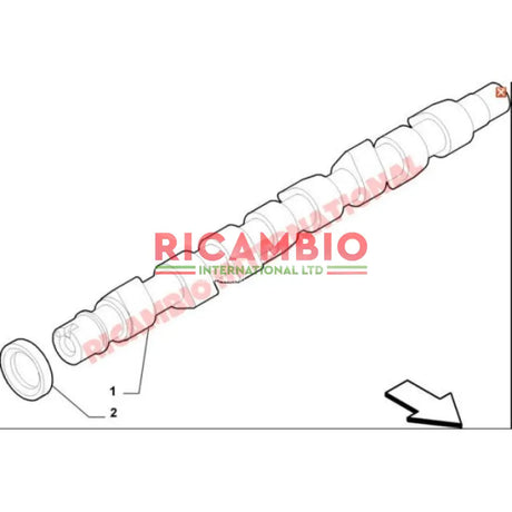 Front Camshaft Oil Seal - Fiat & Alfa Romeo - Gaskets