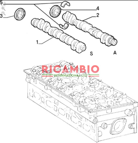 Front Camshaft Oil Seal - Fiat Barchetta,Coupe Punto HGT - Gaskets