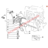 Front Engine Crankshaft Oil Seal - Classic Fiat Panda New Panda,Cinquecento,Seicento,Punto,Doblo,Uno - Gaskets