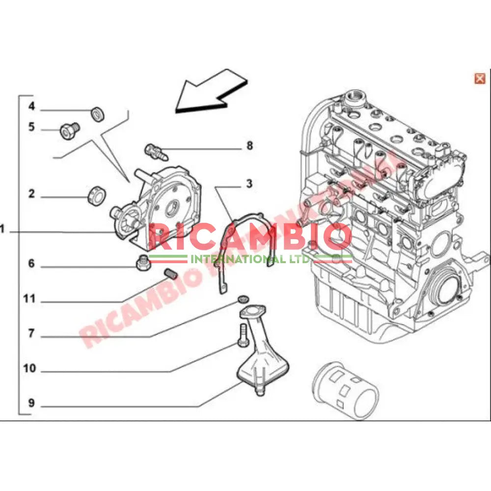 Front Engine Crankshaft Oil Seal - Fiat & Alfa Romeo - Gaskets