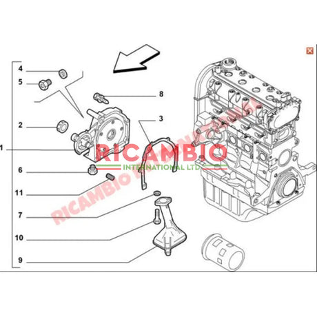 Front Engine Crankshaft Oil Seal - Fiat & Alfa Romeo - Gaskets
