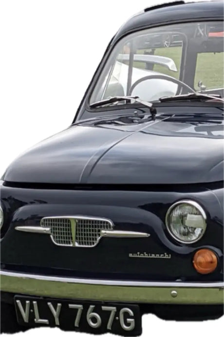 Front Panel Badge & Clips (3 Piece) - Autobianchi Giardiniera - Badges & Emblems