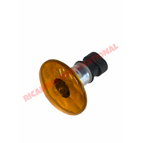 Front Side Repeater Lamp & Bulb - Fiat Multipla - Multipla