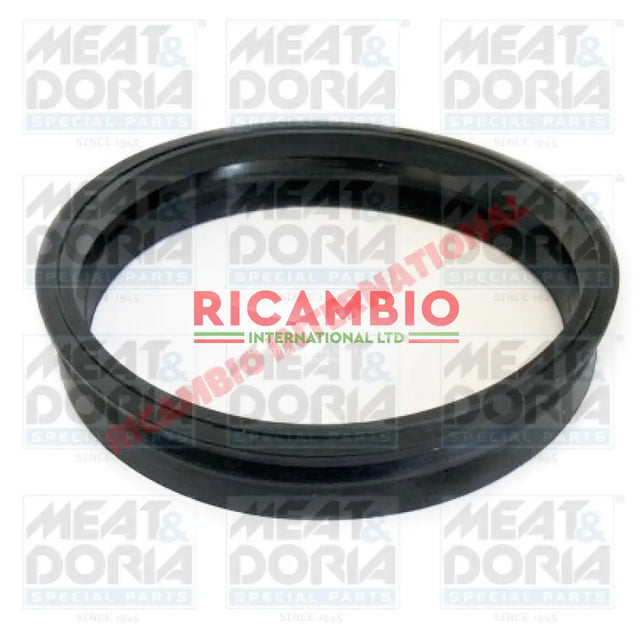 Fuel Pump Seal - Fiat Barchetta,Punto MK1,Multipla Lancia Y10 - Lancia Y10