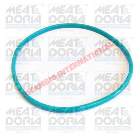 Fuel Tank Pump Rubber Seal - Classic Fiat Panda,New 500 & Abarth,Multipla,New Panda,Punto - Gaskets