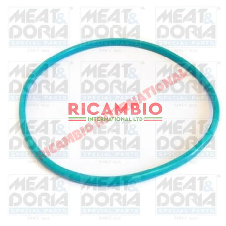 Fuel Tank Pump Rubber Seal - Classic Fiat Panda,New 500 & Abarth,Multipla,New Panda,Punto - Gaskets