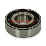 Gearbox Bearing - Fiat Cinquecento,Seicento,New Panda,New 500,Punto - BEARING