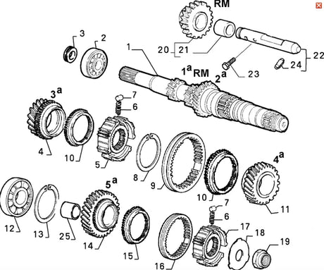 Gearbox Bearing - Fiat Cinquecento,Seicento,New Panda,New 500,Punto - BEARING
