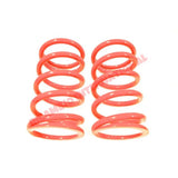 Lowered Rear Coil Spring Kit - Fiat 600 - Suspension