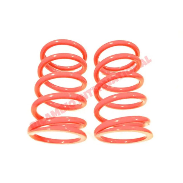 Lowered Rear Coil Spring Kit - Fiat 600 - Suspension