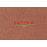 Original Paint Touch Up Stick & Brush (30ml) - Classic Fiat 500 - 102 Rosso Corallo - Paint