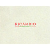 Original Paint Touch Up Stick & Brush (30ml) - Classic Fiat 500 - 214 AVORIO CHIARO - Paint