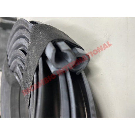 Pair of Door Rubber Seal - Autobianchi Bianchina Cabrio - Window - Seals and Trim