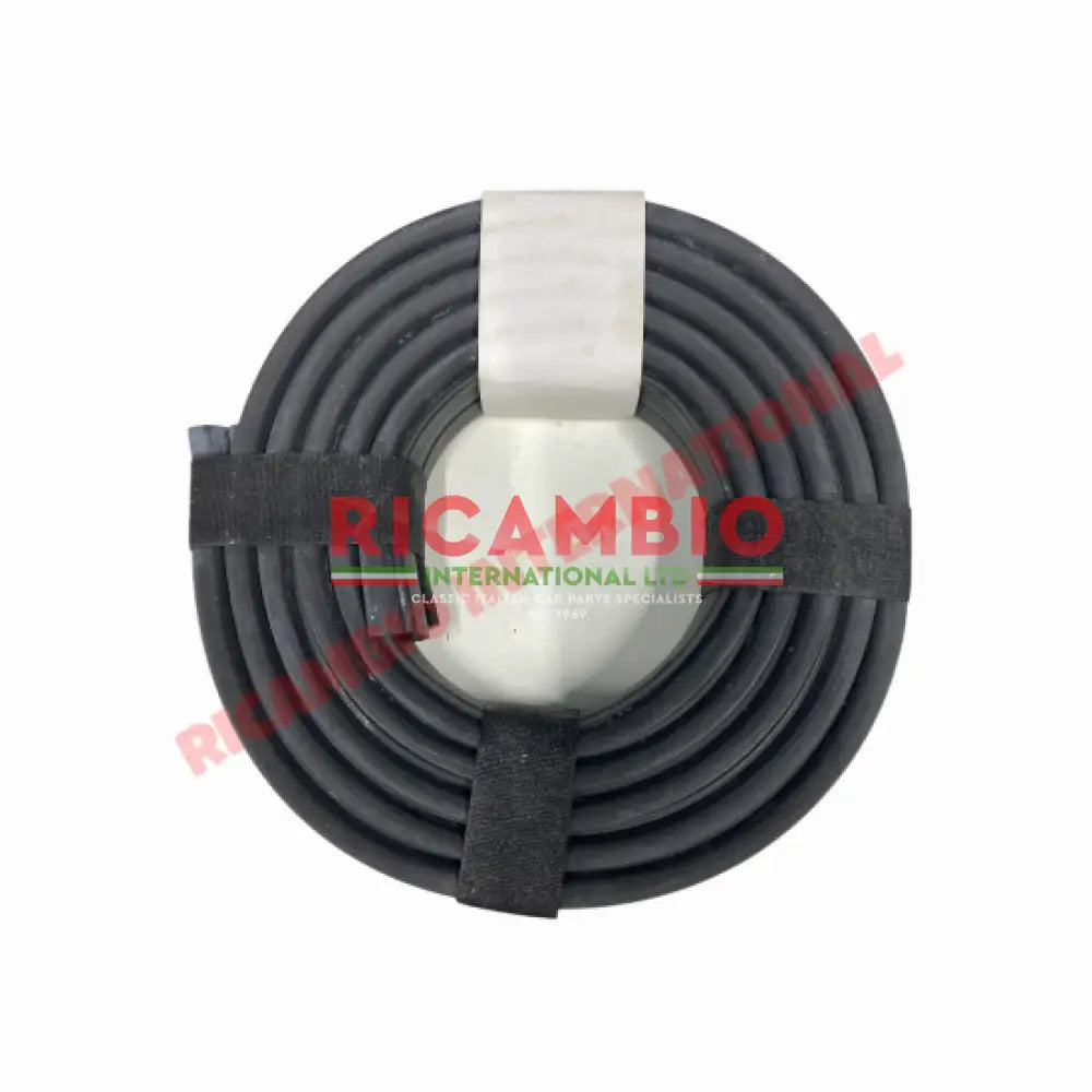Pair of Door Rubber Seal - Autobianchi Bianchina Cabrio - Window - Seals and Trim