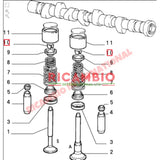 Pair of Valve Collets - Fiat 124 131 X19 Panda Strada Uno Lancia Delta Beta - Engine Parts