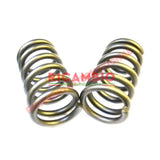 Rear Coil Spring (2) - Fiat 850T/900T/E - Suspension Parts