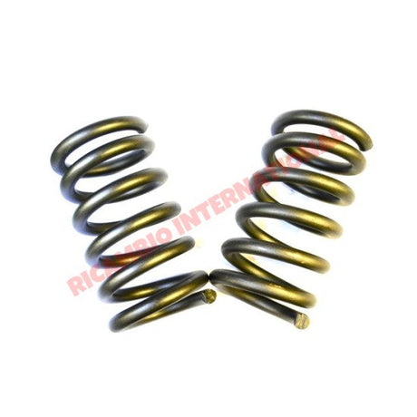 Rear Coil Spring (2) - Fiat 850T/900T/E - Suspension Parts