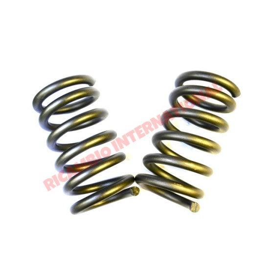 Rear Coil Spring (2) - Fiat 850T/900T/E - Suspension Parts