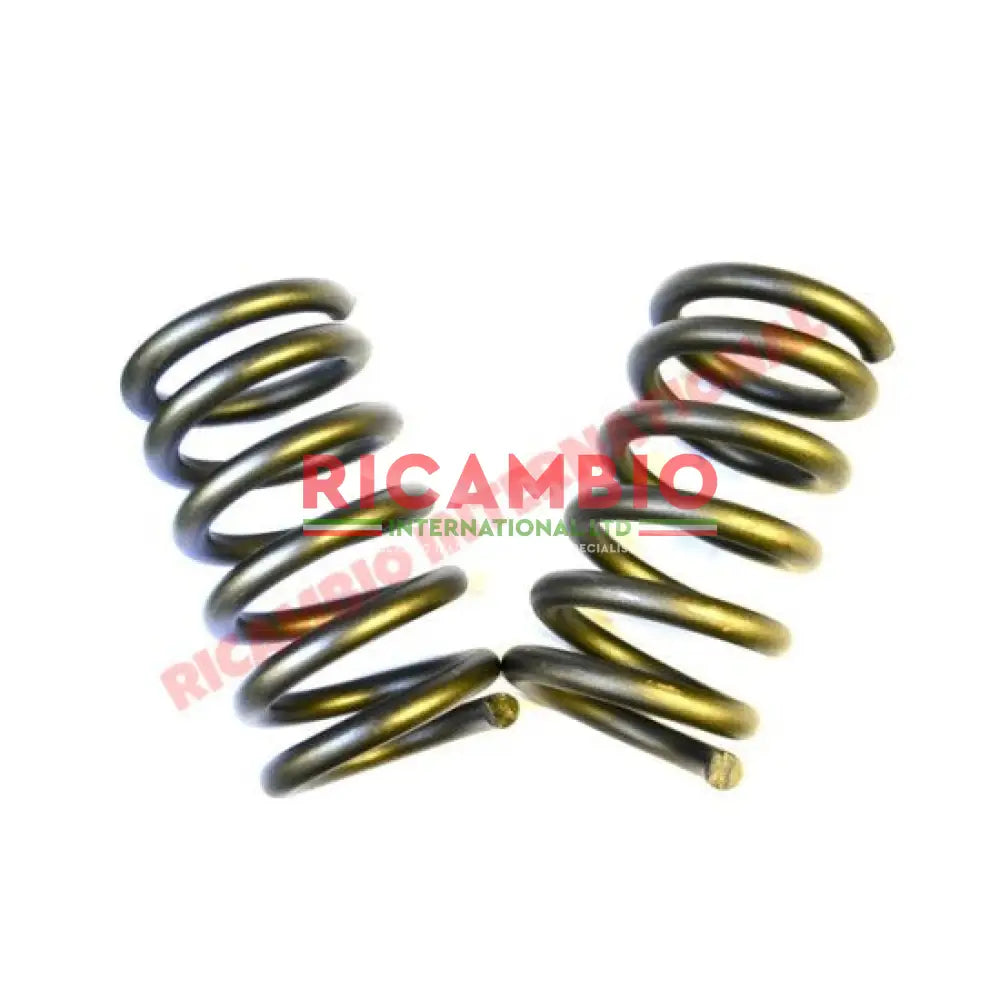 Rear Coil Spring (2) - Fiat 850T/900T/E - Suspension Parts