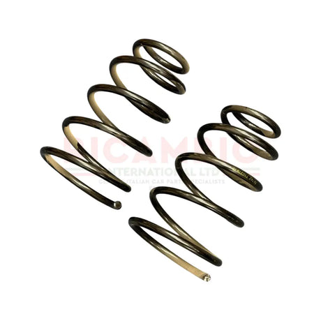 Rear Coil Spring Kit (2)- Fiat Barchetta