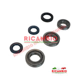 Rear Differential Bearing & Seal Kit - Classic Fiat Panda - Clutch & Transmission Parts