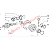 Rear Differential Oil Seal - Classic Fiat Panda - Gaskets and Seals