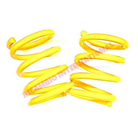 Rear Lowered Coil Spring Kit (160mm) - Classic Fiat 500 - Suspension