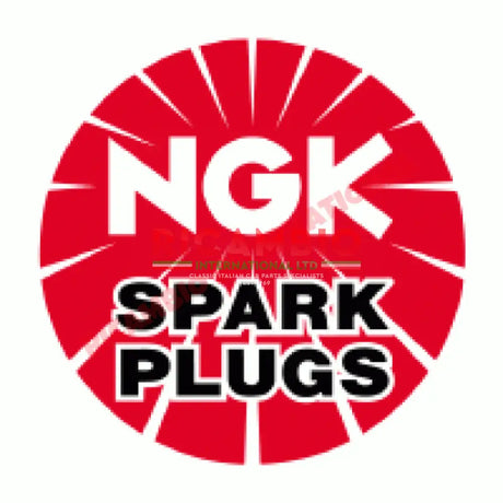 Set of NGK Spark Plug (x4) - Fiat Punto Classic Panda Doblo Multipla Stilo Barchetta Seicento - Ignition & Electronic