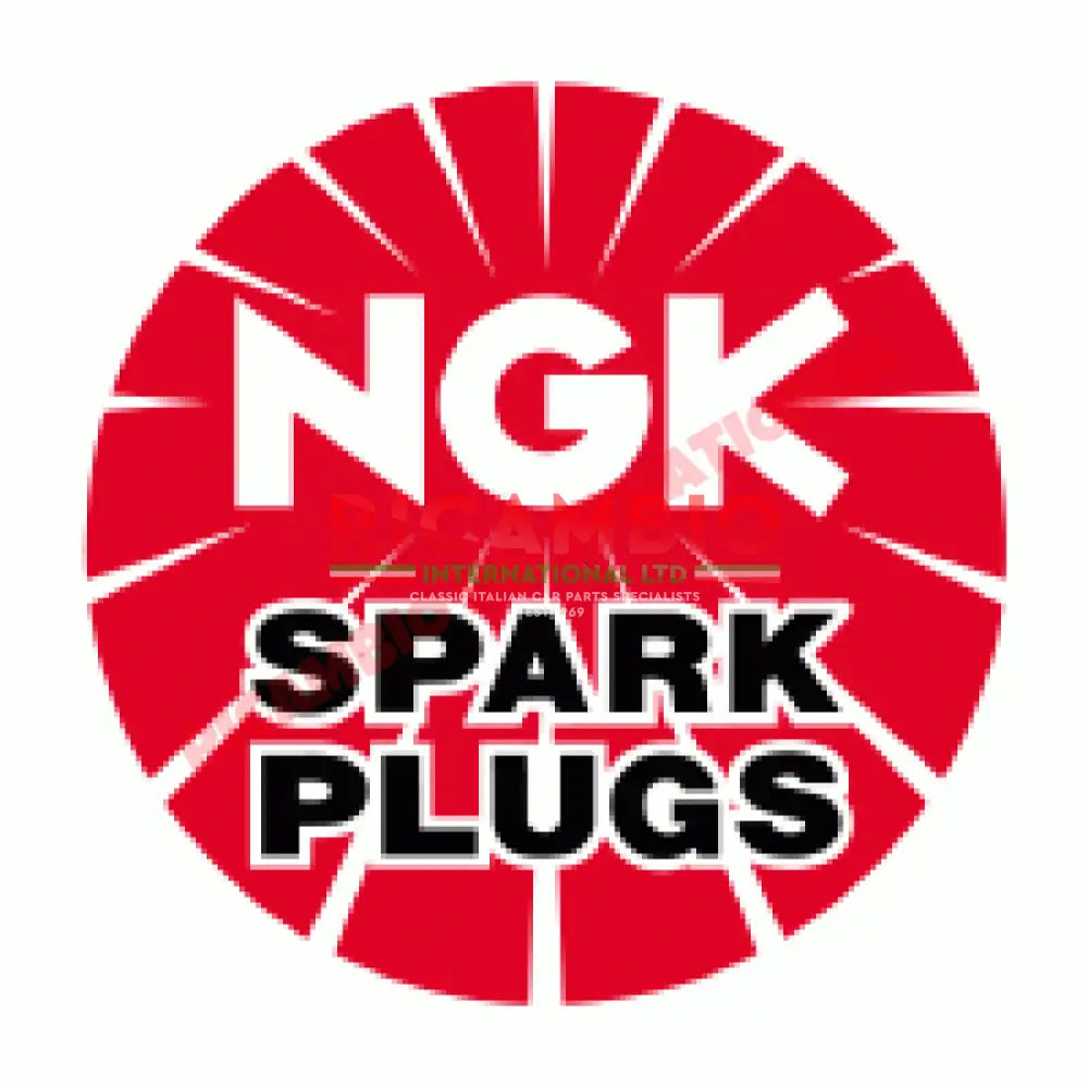 Spark Plug (x1) - New Fiat 500,New Panda,Punto,Doblo,Idea,Mito - Ignition & Electronic Parts