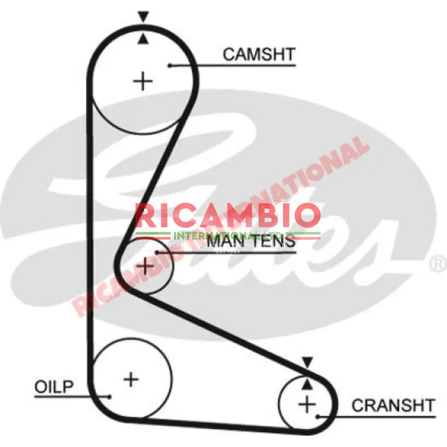 Timing Belt - Fiat 127 Sports Lancia Y10 Autobianchi A112 - Mechanical and Engine Parts