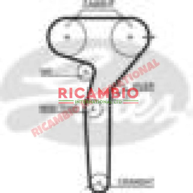 Timing Belt - Fiat Coupe,Bravo,Marea - Engine Parts