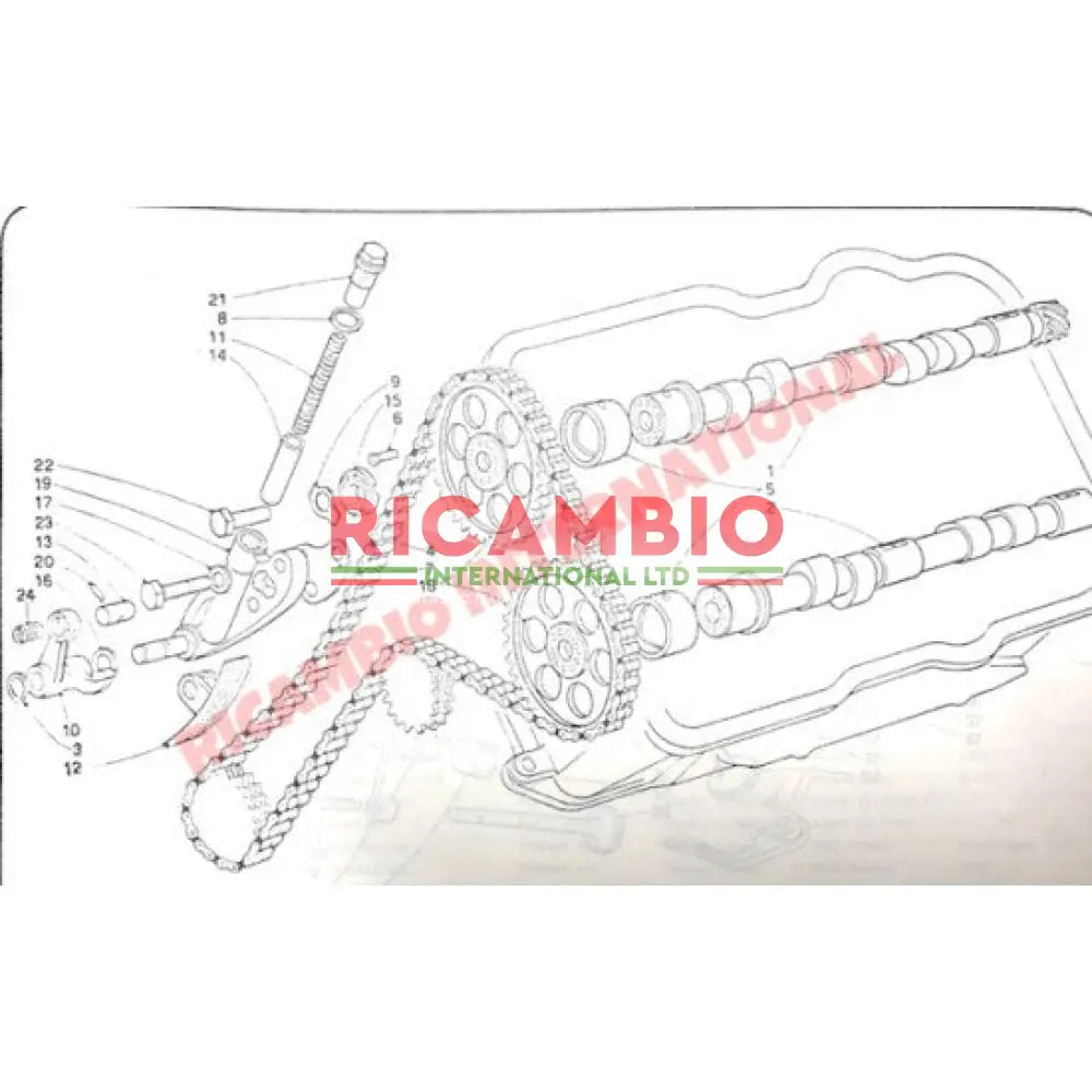 Timing Chain & Shoe Kit - Lancia Fulvia - Lancia Fulvia Engine Components