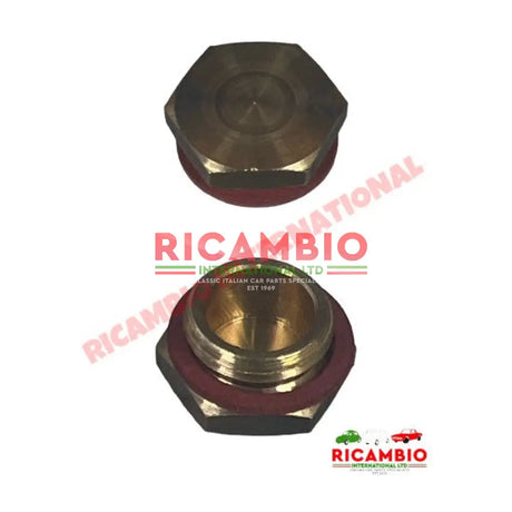 Top Carburettor Filter Housing Screw & Washer - Classic Fiat 500,126 Autobianchi Bianchina - Fuel System