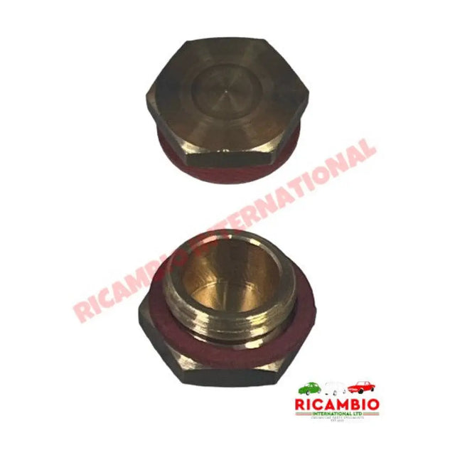 Top Carburettor Filter Housing Screw & Washer - Classic Fiat 500,126 Autobianchi Bianchina - Fuel System