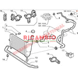 Top Radiator Hose - Fiat Punto MK1 - Heating and Cooling